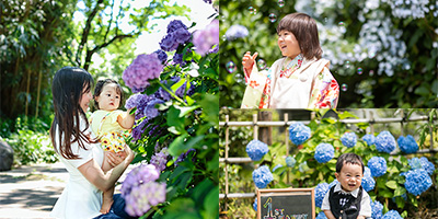 静岡県内6月期間限定！夏キャンペーン 第一弾「紫陽花ロケーション撮影」